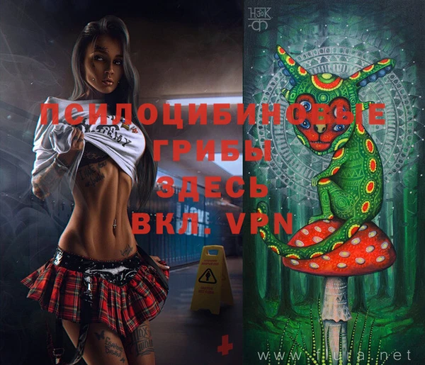 ПСИЛОЦИБИНОВЫЕ ГРИБЫ Козловка