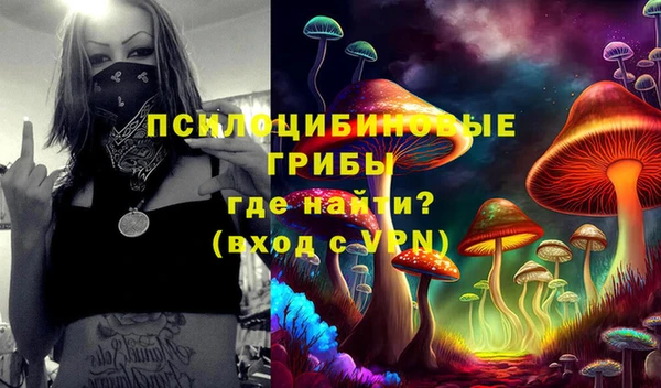 ПСИЛОЦИБИНОВЫЕ ГРИБЫ Козловка