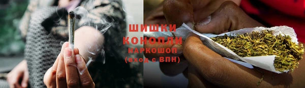 ПСИЛОЦИБИНОВЫЕ ГРИБЫ Козловка