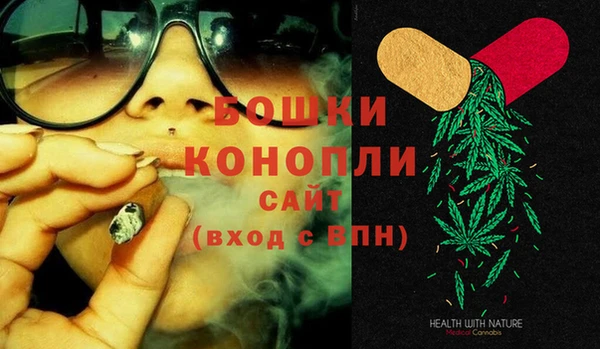 ПСИЛОЦИБИНОВЫЕ ГРИБЫ Козловка