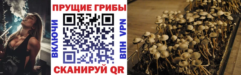 Псилоцибиновые грибы Psilocybine cubensis  Купить  Янаул 